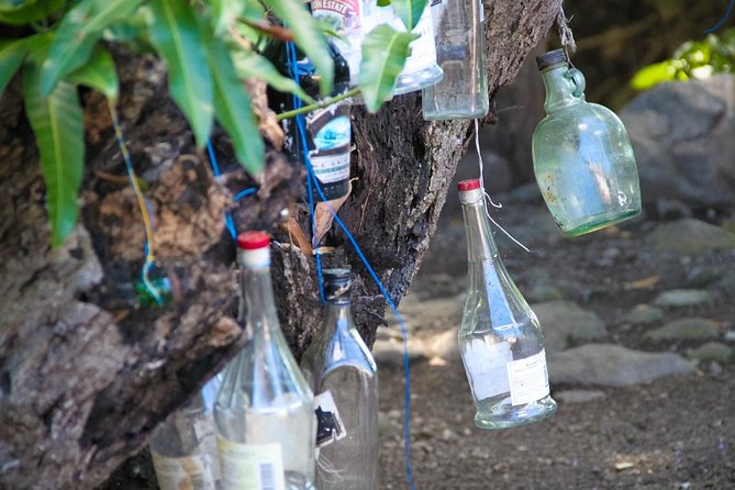 St. Kitts Rainforest Tour - Guest Requirements