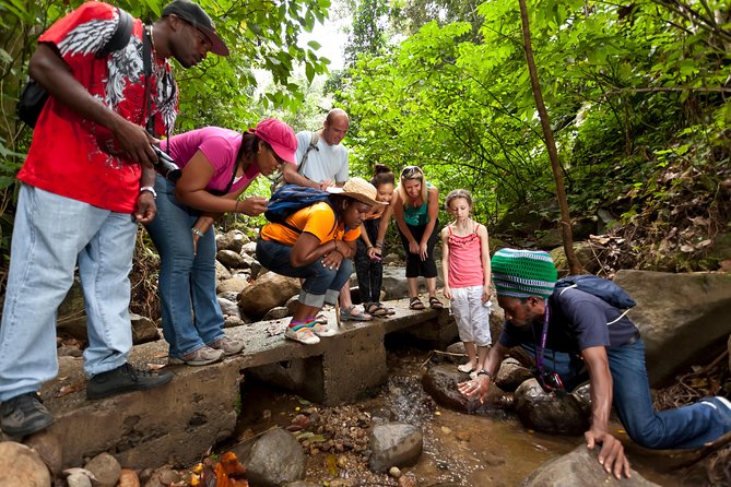 St Lucia Rainforest Walk - Tour Logistics