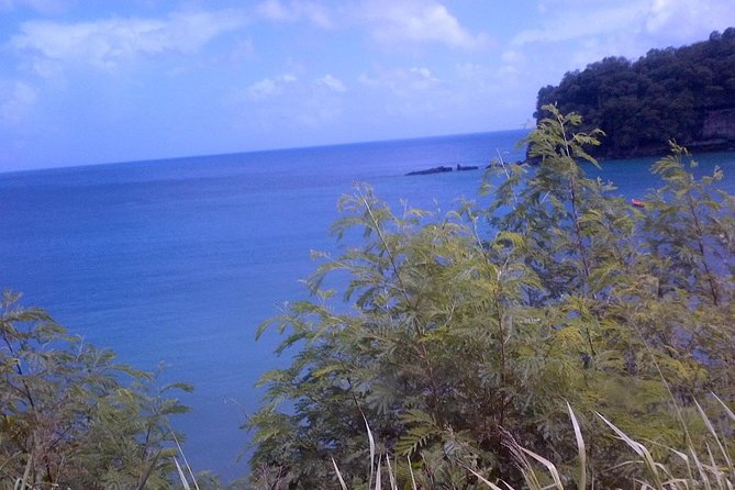 St. Lucia Tet Paul Nature Trail Tour - Exploring the Tet Paul Nature Trail