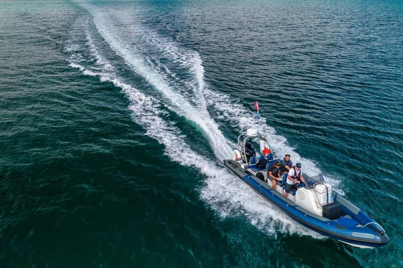 St Mawes: Two hour RIB Tour - St Mawes: Two Hour RIB Tour - A Thrilling Coastal Adventure