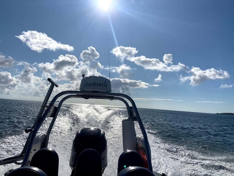 St Mawes: Two hour RIB Tour - Exploring the Cornish Coastline and Marine Life