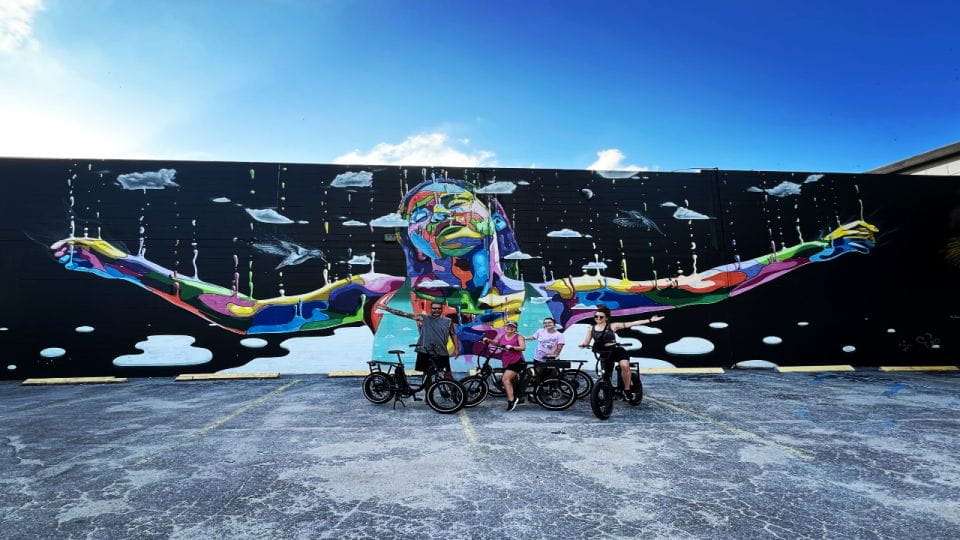 St. Petersburg, FL: Sightseeing & Murals Electric Bike Tour - Tour Highlights