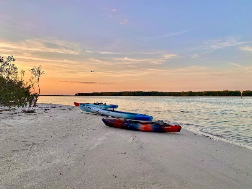 St. Petersburg, FL: Weedon Island Kayak Tour - Key Points