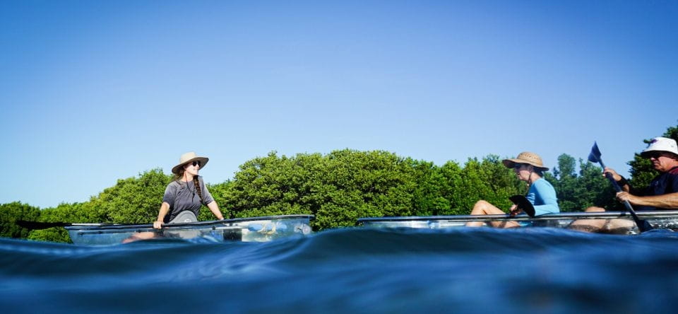 St. Petersburg, FL: Weedon Island Kayak Tour - Pricing and Group Size