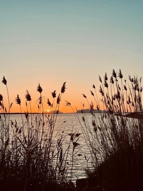 Stagnone di Marsala Sailing Tour - Who Will Love This Tour?