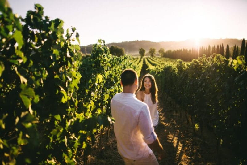 Stancija Collis: A Winery adventure in Rovinj - Key Points / Takeaways