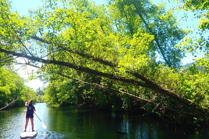 Stand Up Paddle Tour - The Sum Up