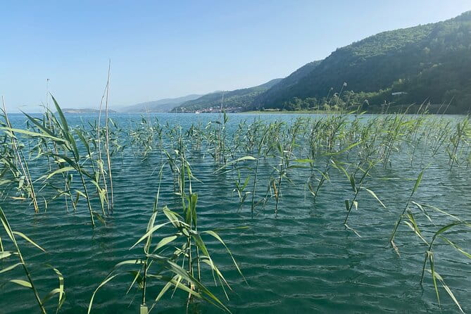 Stand-Up-Paddle Tour on Lake Ohrid - Price and Value: Is It Worth It?