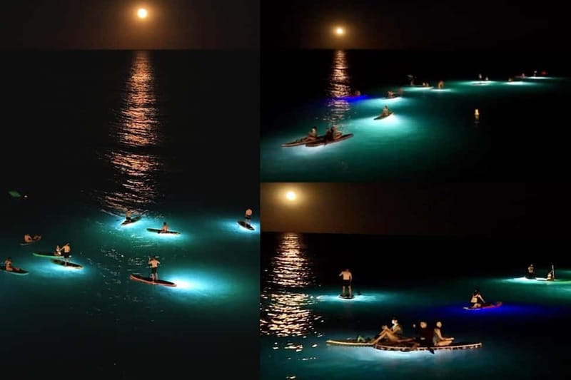 Stand Up Paddle with professional lights in Barcelona - Discovering Barcelonas Night Paddleboarding Adventure