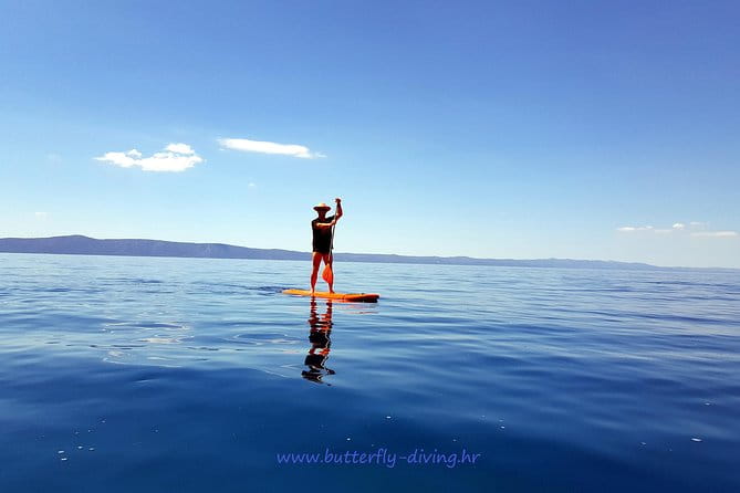 Stand up paddling board for 2 hours rental - Key points / Takeaways