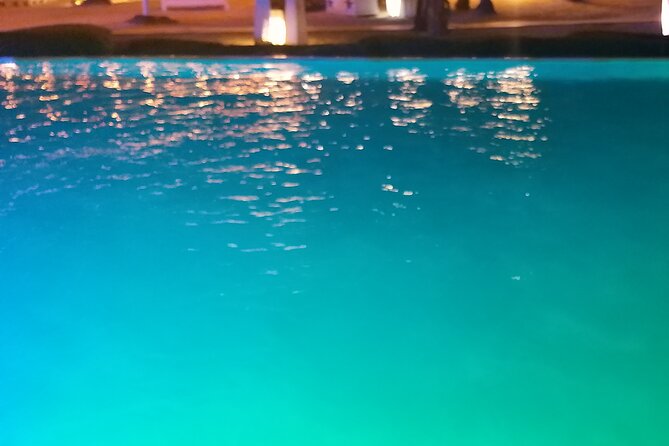 Standard and Premium Transfer From Punta Cana Airport to Las Terrenas - Service Overview