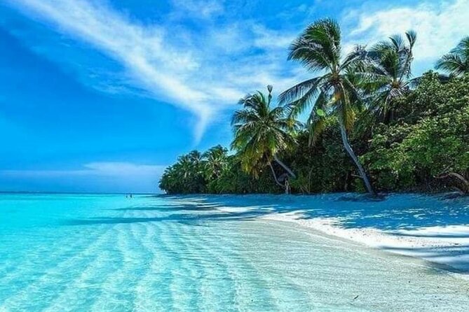 Standard and Premium Transfer From Punta Cana Airport to Las Terrenas - Transfer Options