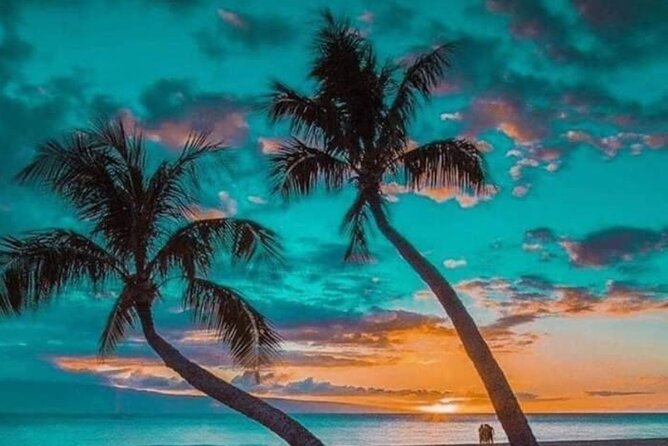 Standard and Premium Transfer From Punta Cana Airport to Las Terrenas - Customer Feedback