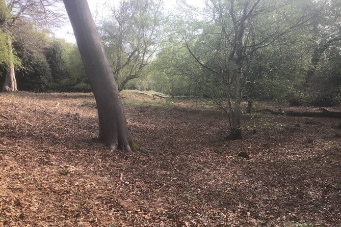 Stanmore Circular Private Walking Tour - Who Will Love This Tour?