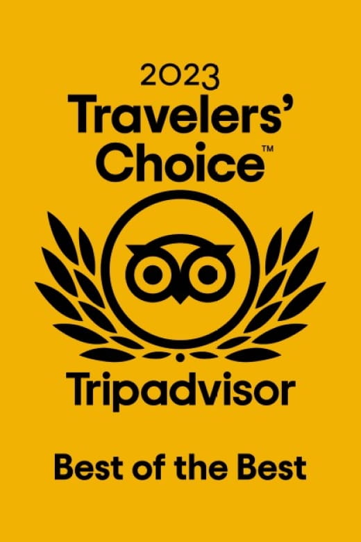 Stansted Airport - Private Transfer - Pickup & Return - Tailored Customer Experience