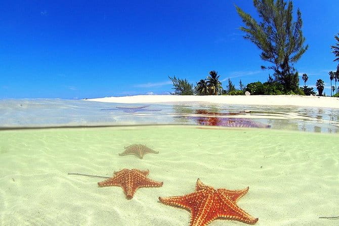 Starfish and Stingray City Fun Tour With Reef Snorkeling- 3 Stops - Transportation Options