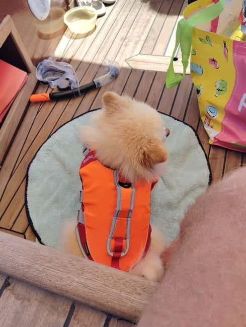 Starlit Luxury Boat Charter with Aperitif in Portofino - Key points / Takeaways