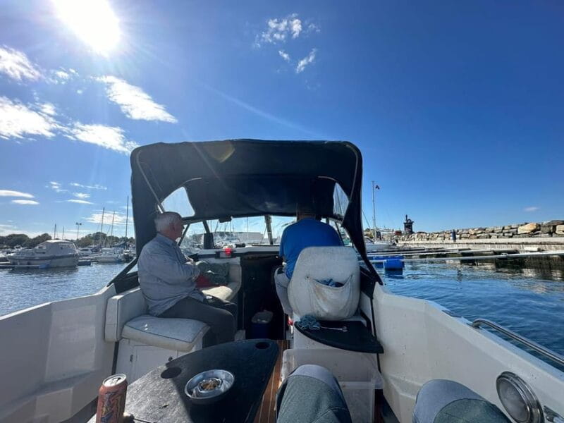 Stavanger:Lysefjord Cruise to Preikestolen and Vagabond Cave - An Introduction to the Fjord: What the Tour Offers