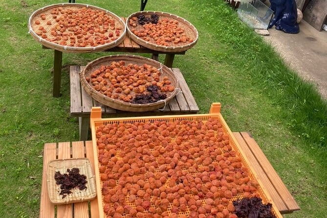 Staying in a Traditional Japanese House in Chiba - Important Considerations