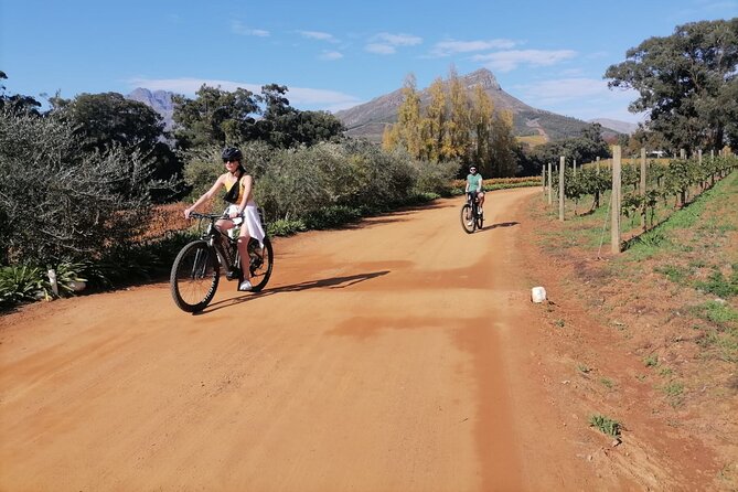 Stellenbosch Private E-Bike & Wine Tour - Additional Information