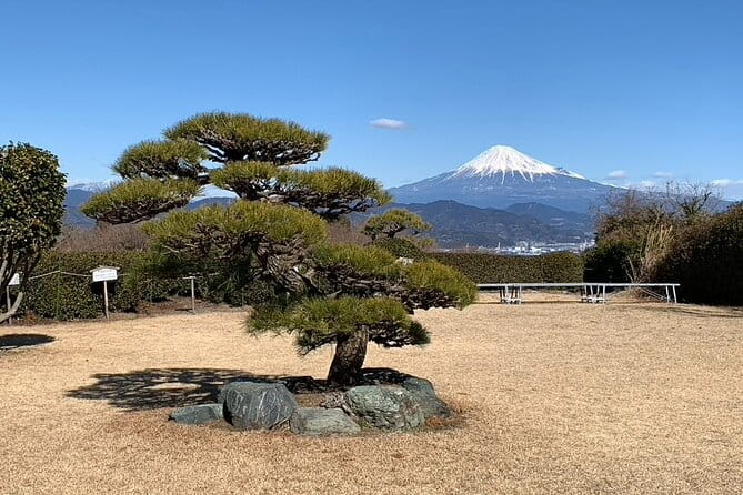 Step- Free Easy Going Tour From Shimizu Port / Sedan Taxi - Transportation Options