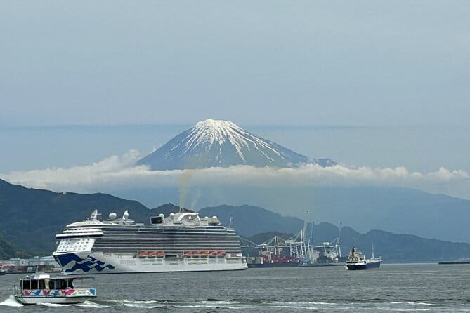 Step- Free Easy Going Tour From Shimizu Port / Sedan Taxi - Customer Reviews and Feedback