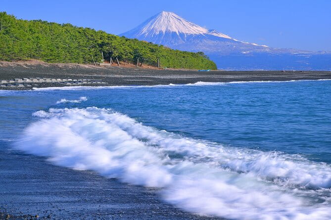 Step-Free Easy Going Tour From Shimizu Port / Small Bus - Meeting and End Point