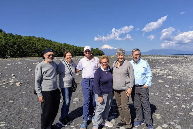 Step-Free Easy Going Tour From Shimizu Port / Small Bus - Accessibility