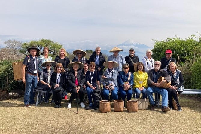 Step-Free Easy Going Tour From Shimizu Port / Small Bus - Transportation