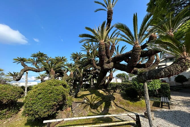 Step-Free Easy Going Tour From Shimizu Port / Van Taxi - Meeting and Pickup Details