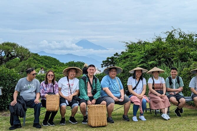 Step-Free Easy Going Tour From Shimizu Port / Van Taxi - Tips for an Enjoyable Experience