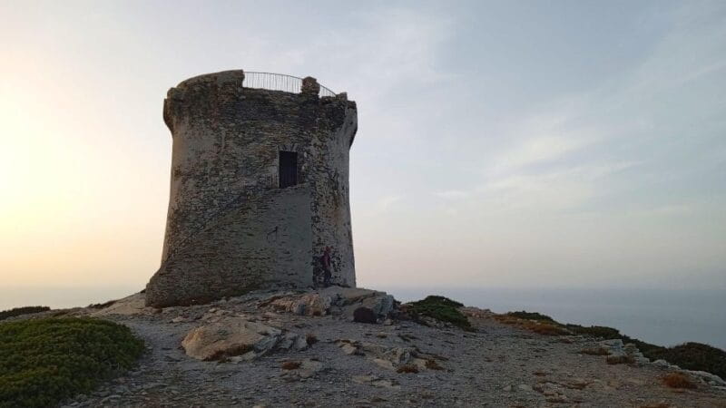 Stintino: sunset hike at Capo Falcone with tasting - Key points / Takeaways