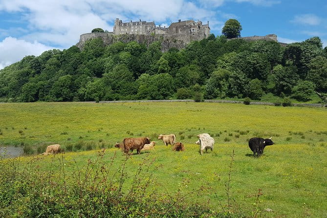 Stirling Castle, Trossachs, Loch Lomond and Whisky Tour - Exploring the Full Itinerary: What You Can Expect