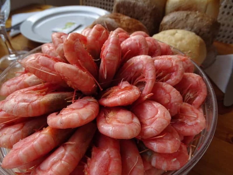 Stockholm: All-You-Can-Eat Shrimp/Tacos Cruise & Live Music - Who Should Skip This?