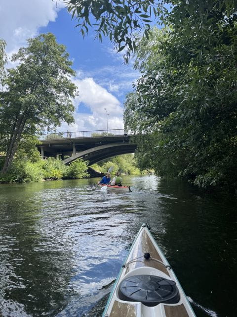 Stockholm: Daytime Kayak Tour in Stockholm City - Key Points / Takeaways