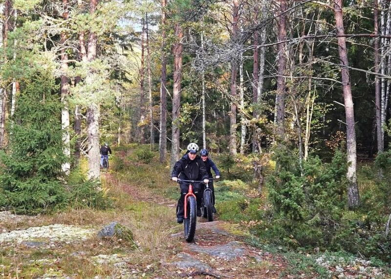 Stockholm: Fat Bike Forest Adventure with Lunch and Sauna - Sauna, Showers, and Relaxation