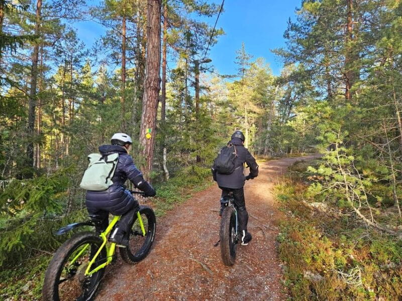 Stockholm: Fat Bike Forest Adventure with Lunch and Sauna - Final Thoughts: A Unique Blend of Nature and Comfort