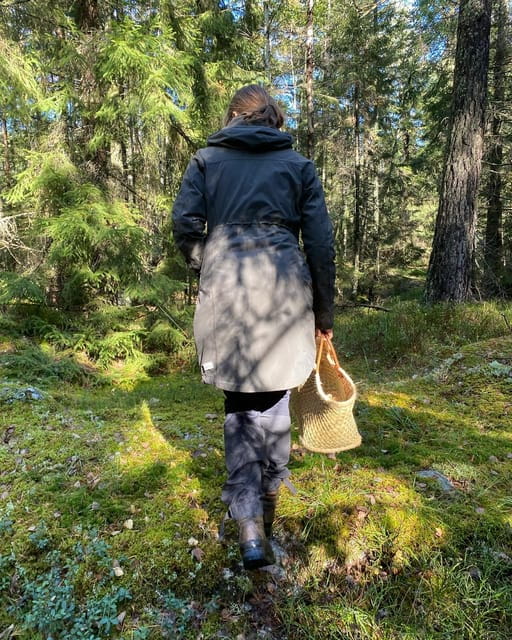 Stockholm, Mushroom and Wild Plant Foraging Tour with expert - Exploring Stockholm’s Forests with a Foraging Expert