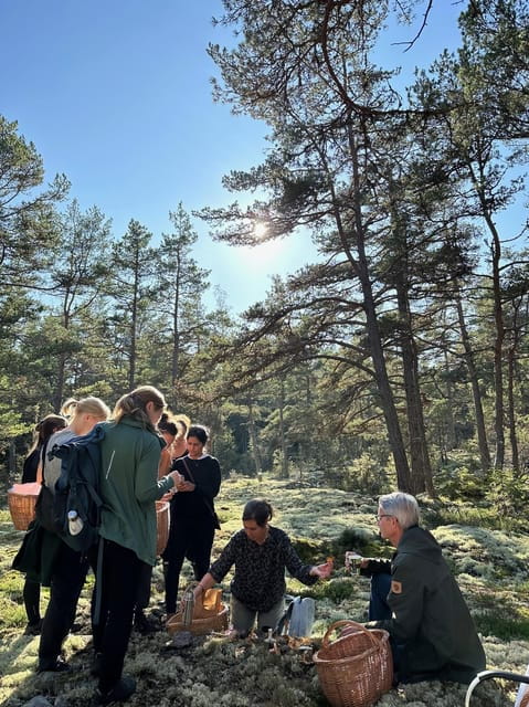 Stockholm, Mushroom and Wild Plant Foraging Tour with expert - Practical Details and Tips for Your Visit
