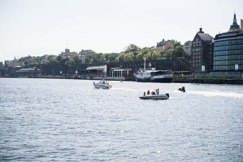 Stockholm: Old Town, Djurgården Island & Vasa Museum - Who Will Love This Tour?