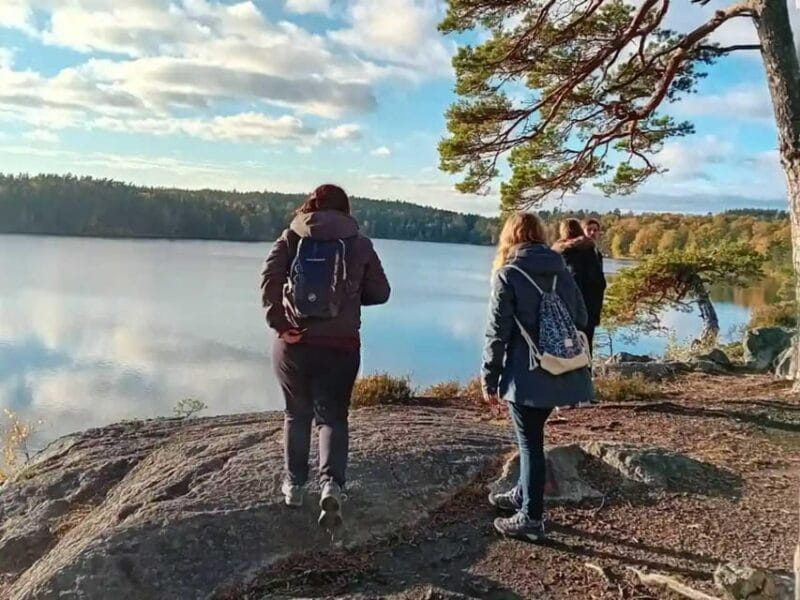 Stockholm: Sunset Hike in Tyresta National Park with Meal - Key points / Takeaways