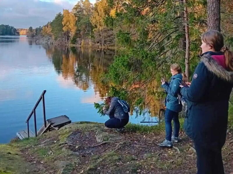 Stockholm: Sunset Hike in Tyresta National Park with Meal - Who Will Love This Tour?