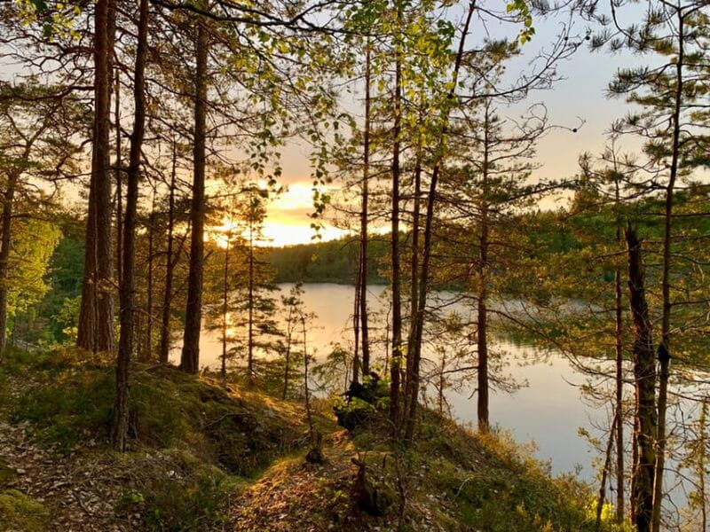 Stockholm: Sunset Hike in Tyresta National Park with Meal - Price and Value