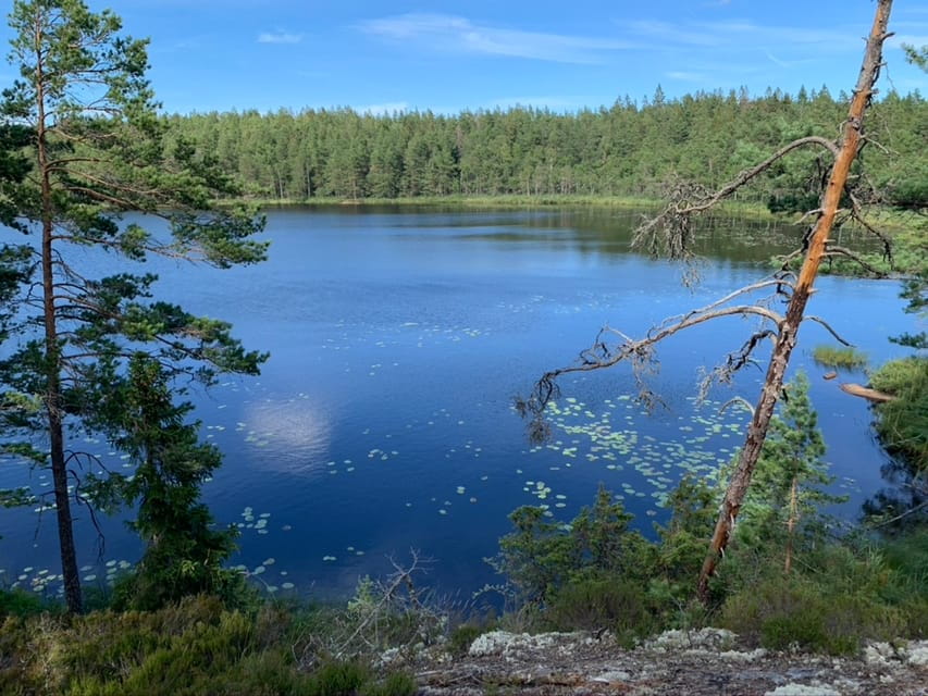 Stockholm: Tyresta National Park Sunset Hike With Meal - Frequently Asked Questions