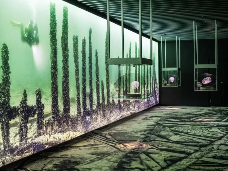 Stockholm: Vasa Museum and Vrak Museum of Wrecks Combo Entry - The Sum Up: Who Should Visit?