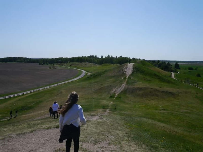 Stockholm Viking History Full Day Tour to Sigtuna + Uppsala - Uppsala: Royal Mounds and the Cathedral