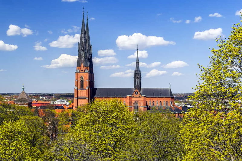 Stockholm Viking History Full Day Tour to Sigtuna + Uppsala - Who Will Love This Tour?