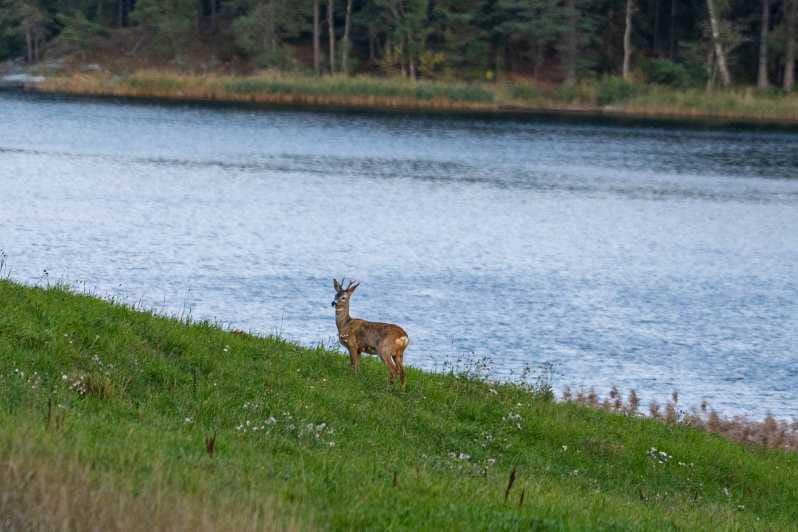 Stockholm: Wildlife Safari - Who Is This Tour For?