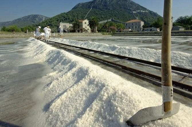 Ston Tour: City Walls, Saltworks, Wine & Adriatic Seafood - Who is This Tour Best For?