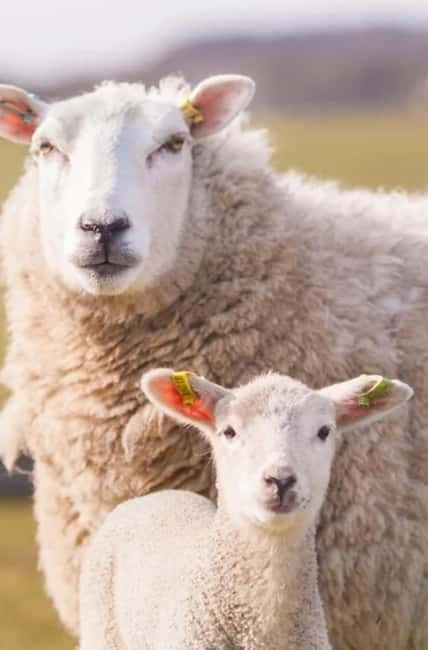 Stonehenge, Bath, Windsor, Cotswolds Villages - Key points / Takeaways